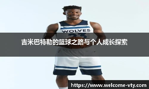 VSport登录入口